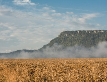 Bavorský les