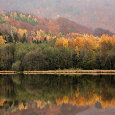 7 TIPŮ, KDE FOTOGRAFOVAT PODZIM